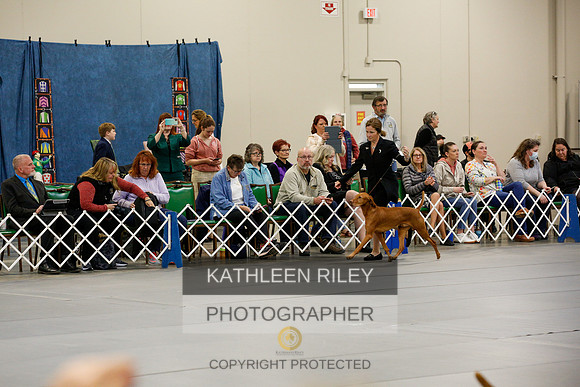 2022-KathleenRileyPhotography-1012
