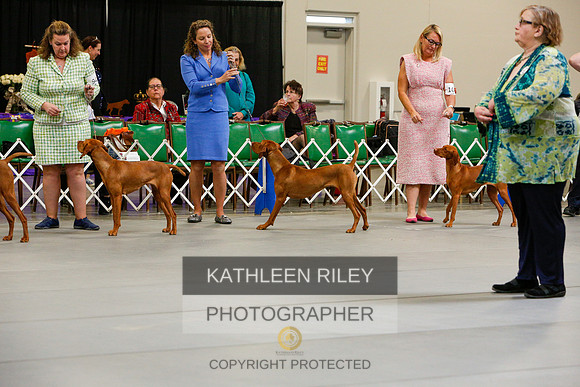 2022-KathleenRileyPhotography-2522