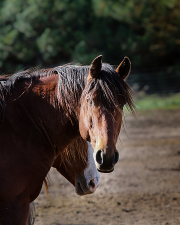 2019-Kathleen-Riley-Photography-6052