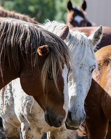 2019-Kathleen-Riley-Photography-6055