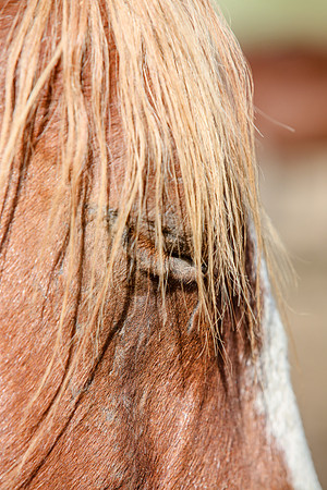 2019-Kathleen-Riley-Photography-6102