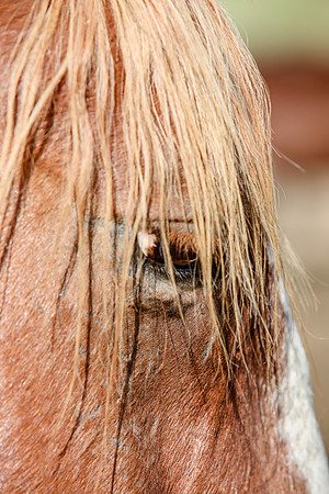 2019-Kathleen-Riley-Photography-6104
