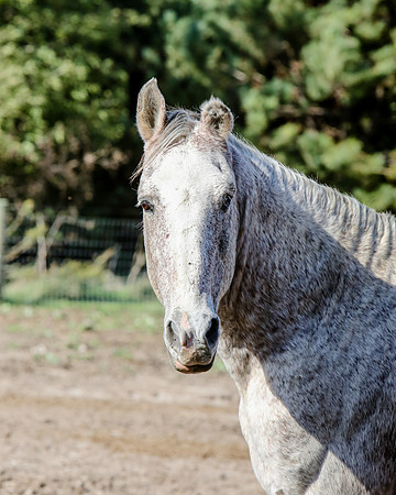 2019-Kathleen-Riley-Photography-6112
