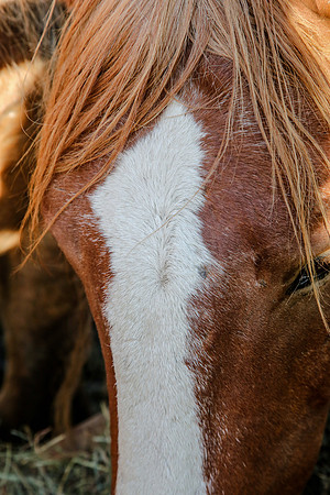2019-Kathleen-Riley-Photography-7093