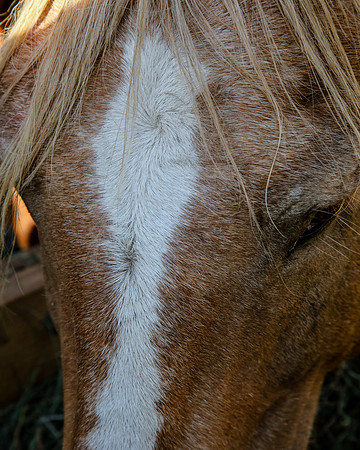 2019-Kathleen-Riley-Photography-7099