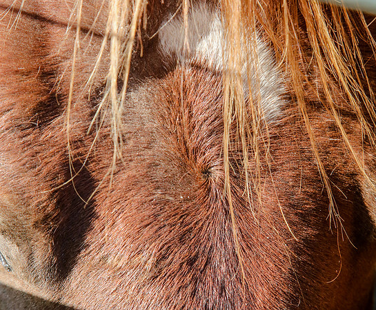 2019-Kathleen-Riley-Photography-7106