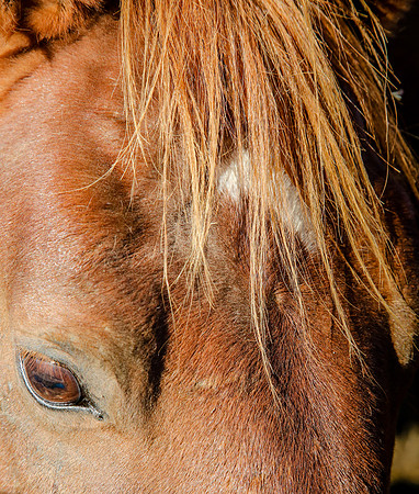 2019-Kathleen-Riley-Photography-7110
