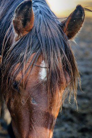 2019-Kathleen-Riley-Photography-7115