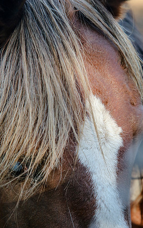 2019-Kathleen-Riley-Photography-7116