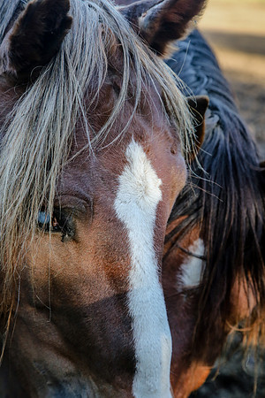 2019-Kathleen-Riley-Photography-7119