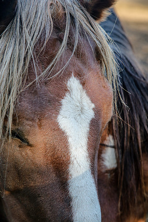 2019-Kathleen-Riley-Photography-7121
