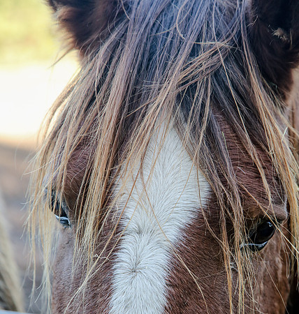 2019-Kathleen-Riley-Photography-7123