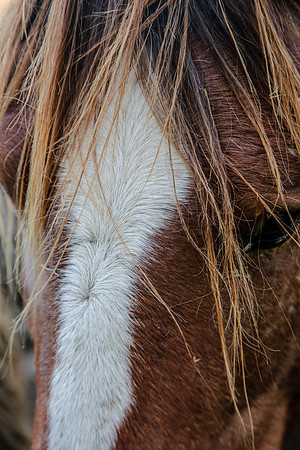 2019-Kathleen-Riley-Photography-7125