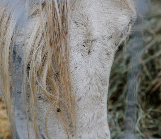2019-Kathleen-Riley-Photography-7136