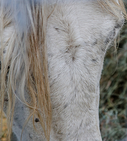 2019-Kathleen-Riley-Photography-7137