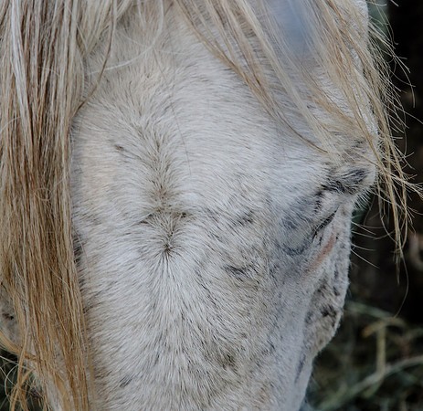 2019-Kathleen-Riley-Photography-7139