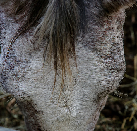 2019-Kathleen-Riley-Photography-7149