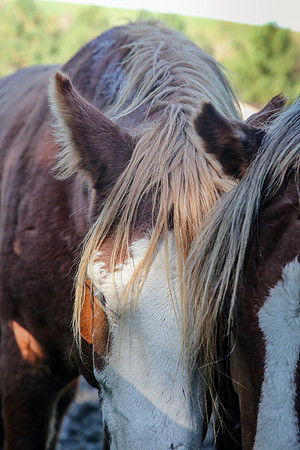 2019-Kathleen-Riley-Photography-7163