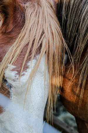 2019-Kathleen-Riley-Photography-7166