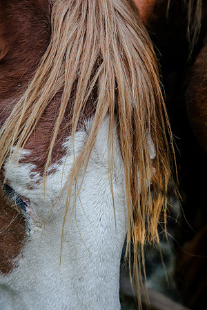 2019-Kathleen-Riley-Photography-7171
