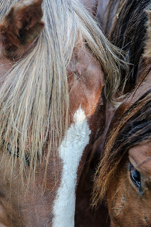 2019-Kathleen-Riley-Photography-7172