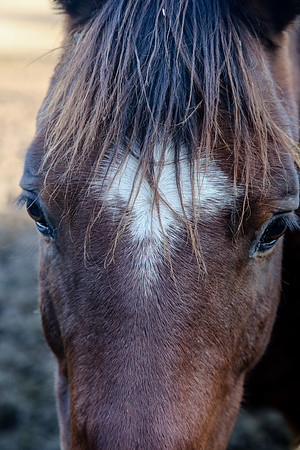 2019-Kathleen-Riley-Photography-7175