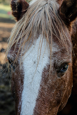 2019-Kathleen-Riley-Photography-7183