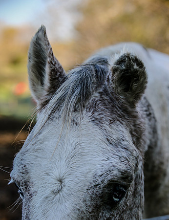 2019-Kathleen-Riley-Photography-4095