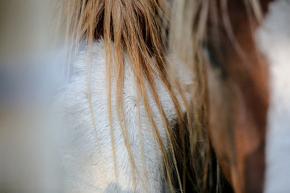 2019-Kathleen-Riley-Photography-4102