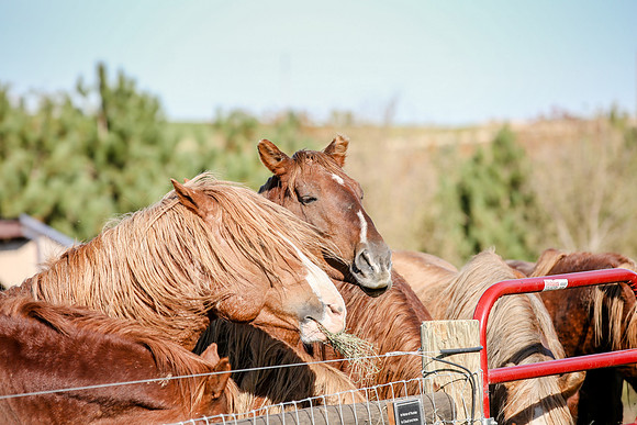2019-Kathleen-Riley-Photography-4139