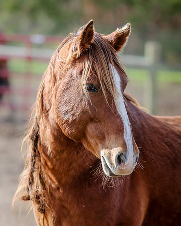 2019-Kathleen-Riley-Photography-7262