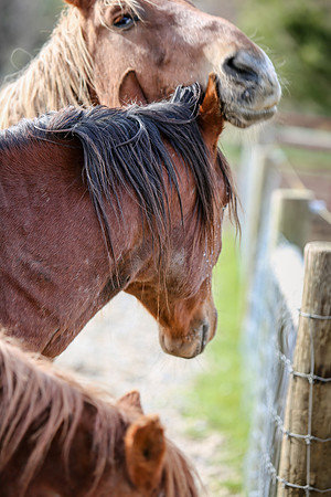 2019-Kathleen-Riley-Photography-7286
