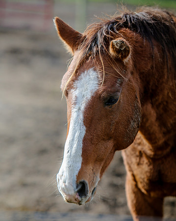2019-Kathleen-Riley-Photography-7295