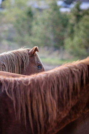 2019-Kathleen-Riley-Photography-7301