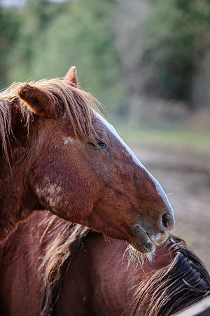 2019-Kathleen-Riley-Photography-7303