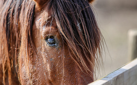 2019-Kathleen-Riley-Photography-7306