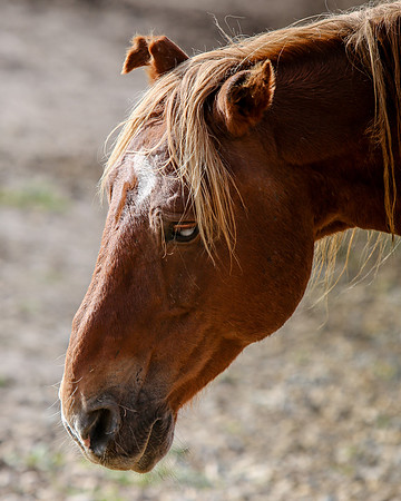 2019-Kathleen-Riley-Photography-7311