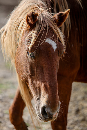 2019-Kathleen-Riley-Photography-7319