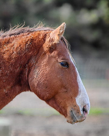 2019-Kathleen-Riley-Photography-7330