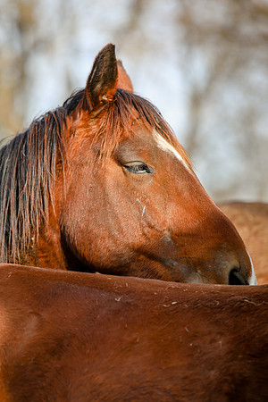 2019-Kathleen-Riley-Photography-7334