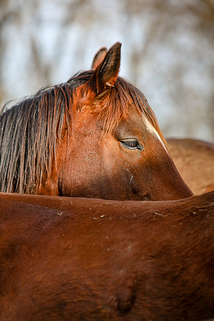2019-Kathleen-Riley-Photography-7335