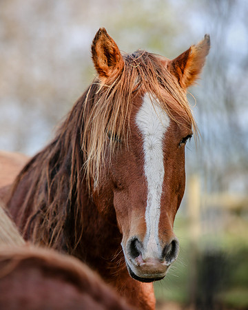 2019-Kathleen-Riley-Photography-7344