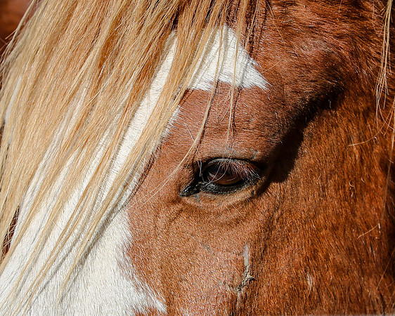 2019-Kathleen-Riley-Photography-7356