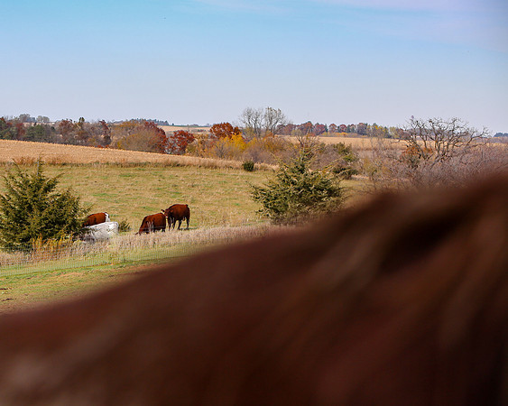 2019-Kathleen-Riley-Photography-7381