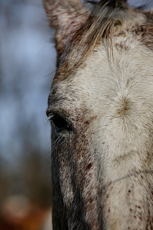2019-Kathleen-Riley-Photography-7403