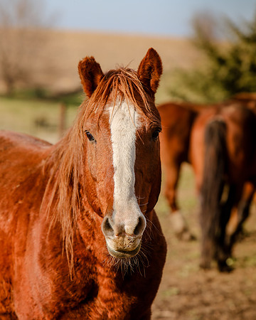 2019-Kathleen-Riley-Photography-7418