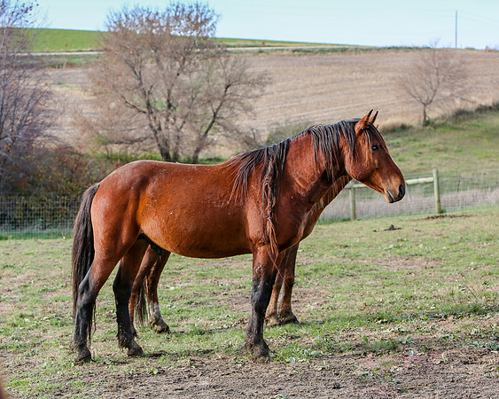 2019-Kathleen-Riley-Photography-7433