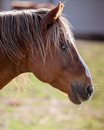 2019-Kathleen-Riley-Photography-7454