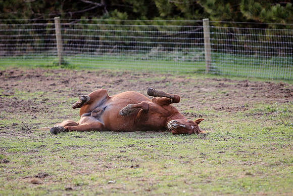 2019-Kathleen-Riley-Photography-7506