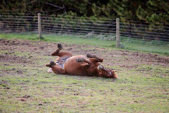 2019-Kathleen-Riley-Photography-7509